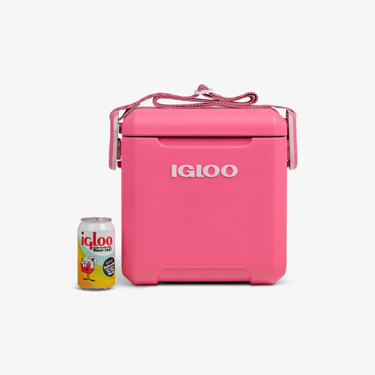 tag-along-too-remix-cooler-k2 00033199-P_861a5cd2-f15c-4217-a471-e33cc3890d9e.jpg