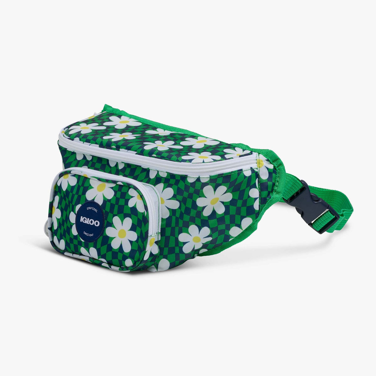 retro-fanny-pack-f7 00067206-H1.jpg