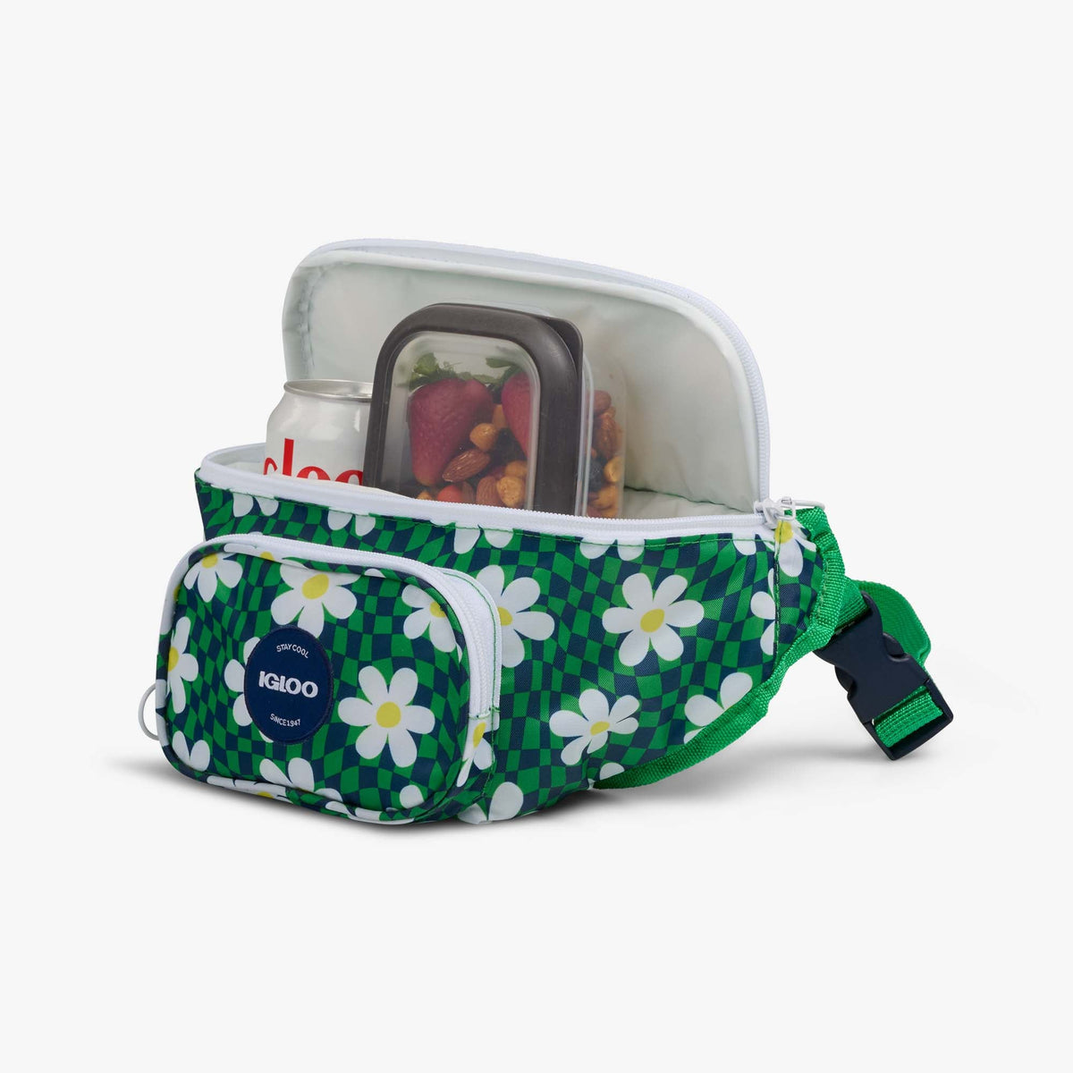 retro-fanny-pack-f7 00067206-P1.jpg